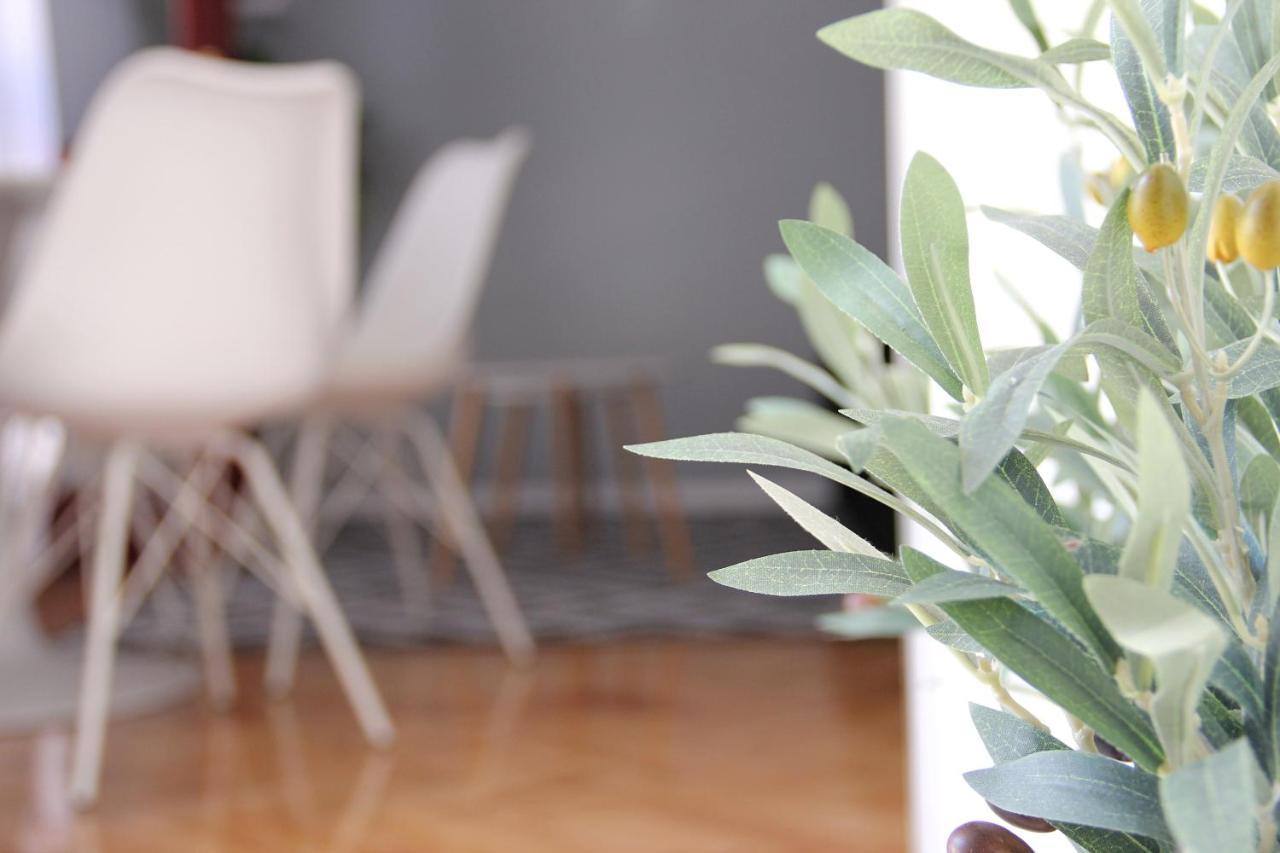 Markovic Apartment *
