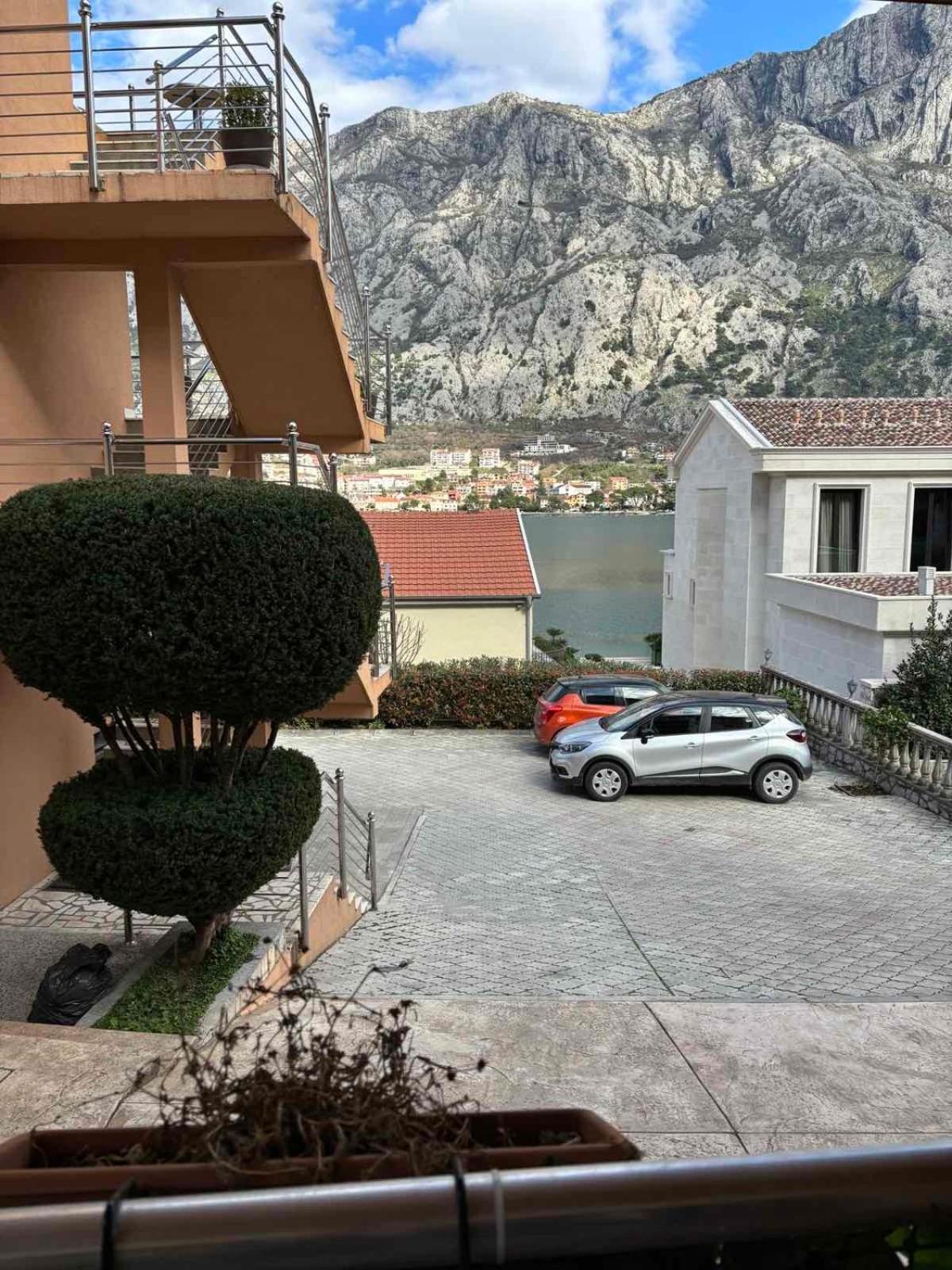 Markovic * Kotor