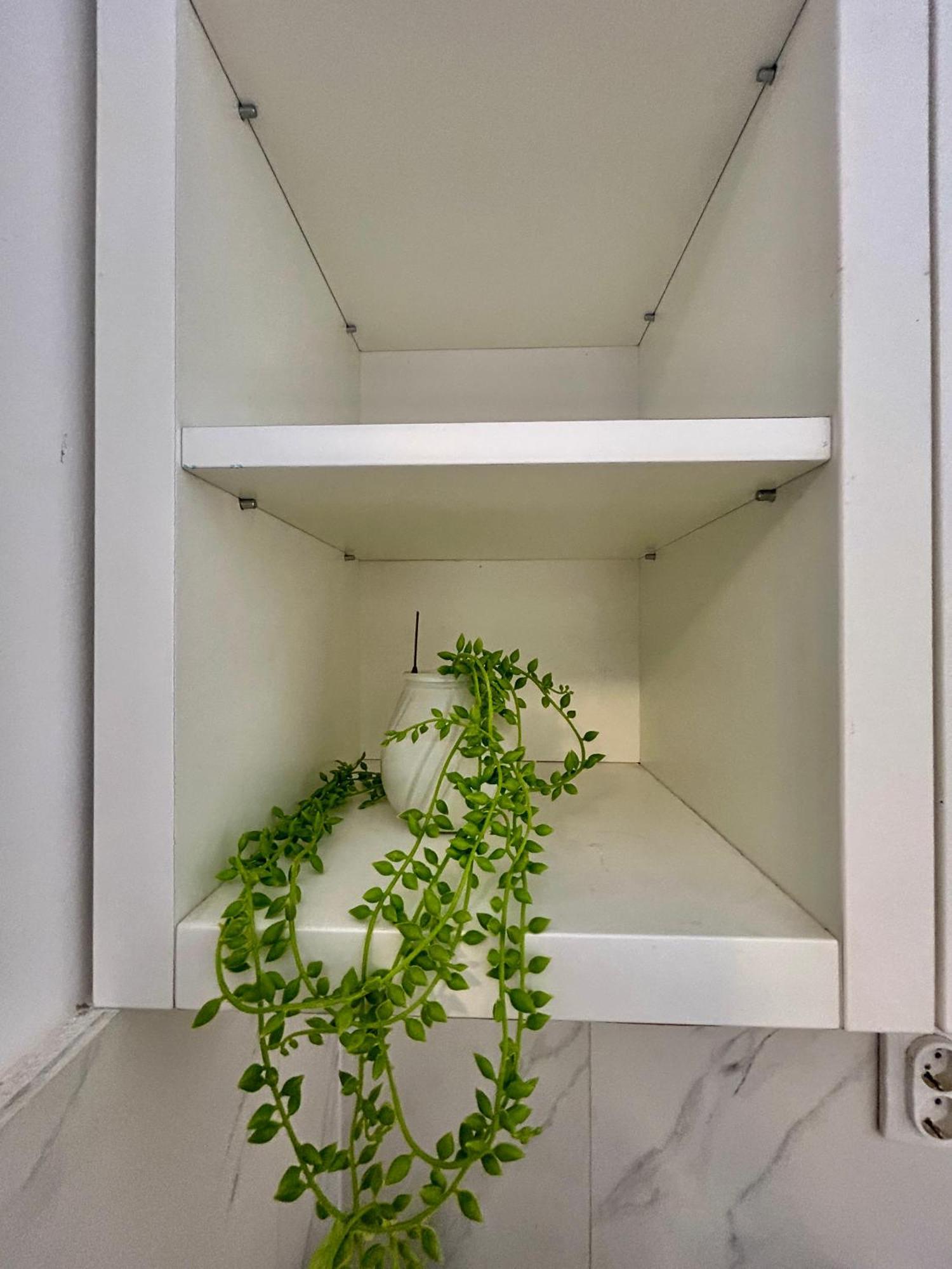 Markovic Apartment